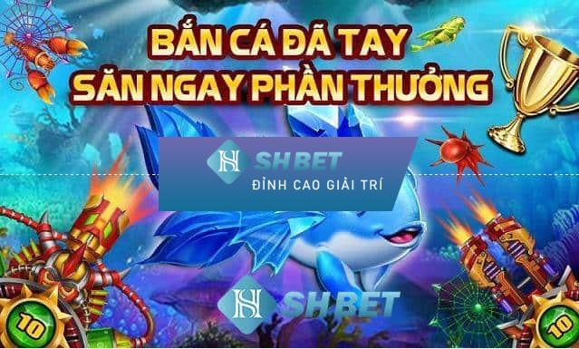 Nhà cái cá cược Shbet cung cấp dịch vụ cá cược trực tuyến uy tín